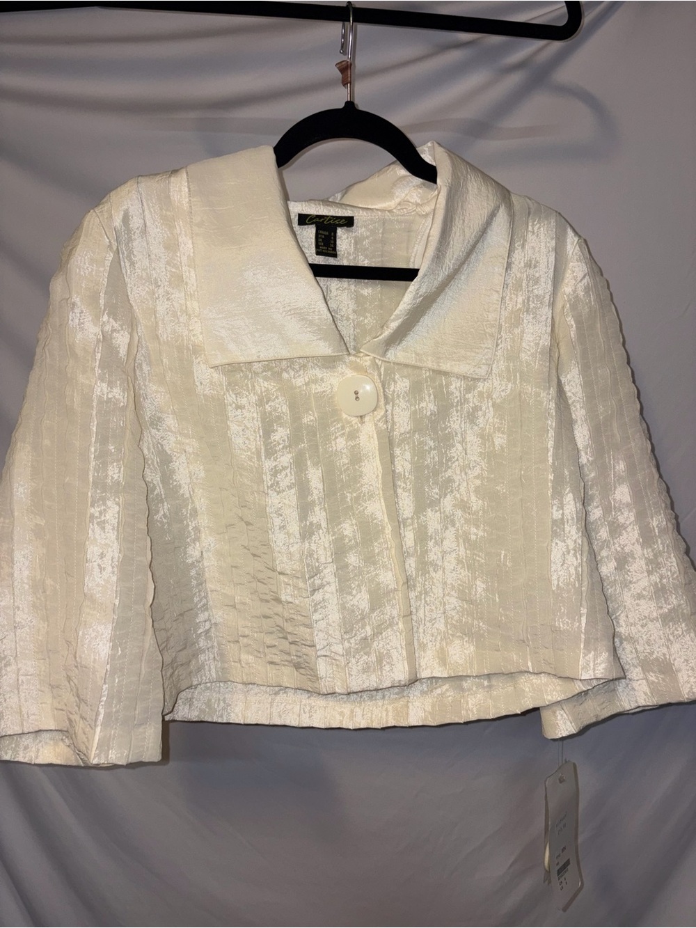 Cartise NWT Cream Textured Cropped Blazer Jacket Size 6